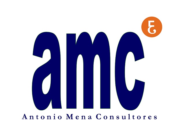 amconsultores.org